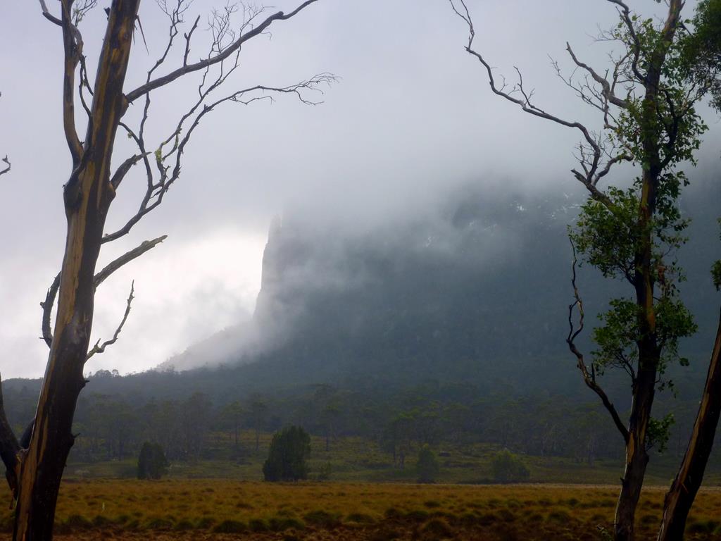 Mt Oakleigh from New Pelion Hut